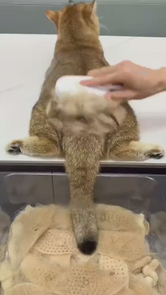 3-in-1 Electric Cat Steam Brush – Spray Grooming Comb for Hair Removal & Soothing Massage